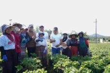 IPM Melonjak, Kemiskinan dan Pengangguran di Kota Batu Turun Serentak